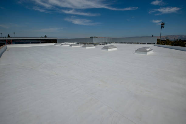  Palmview South, TX Roofing Service Pros