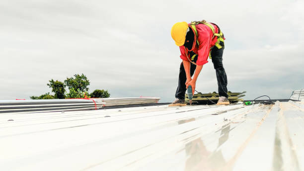 Best Wood Shake Roofing  in Palmview South, TX