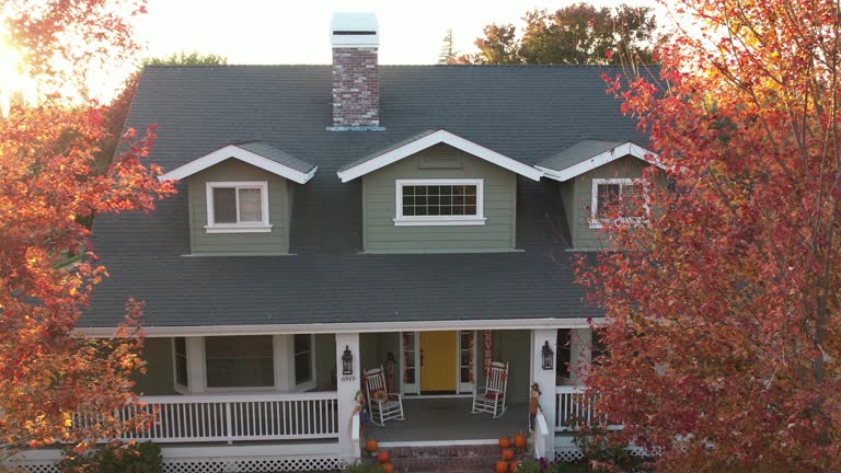 Best Solar Panel Roofing Installation  in Palmview South, TX