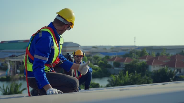 Best Roof Coating and Sealing  in Palmview South, TX
