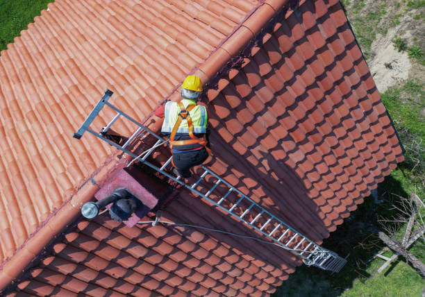 Best Roof Coating and Sealing  in Palmview South, TX