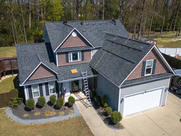 Best Asphalt Shingle Roofing  in Palmview South, TX